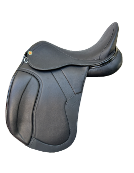 CELEBRATION - DRESSUR