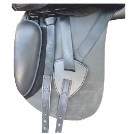 CELEBRATION - DRESSUR