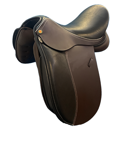 SAPHIR – DRESSUR
